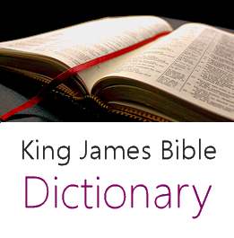 Divers Bible Definition: Comprehensive Guide