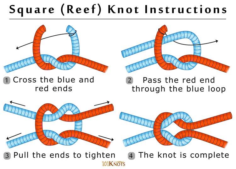 Dog Knot Guide: Everything You Need
