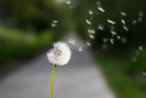 Dream 9 25 2016 Consumed By The Mighty Rushing Wind Of The Holy Spirit Dream 9 25 2016 Consumed By The Mighty Rushing Wind Of The Holy Spirit