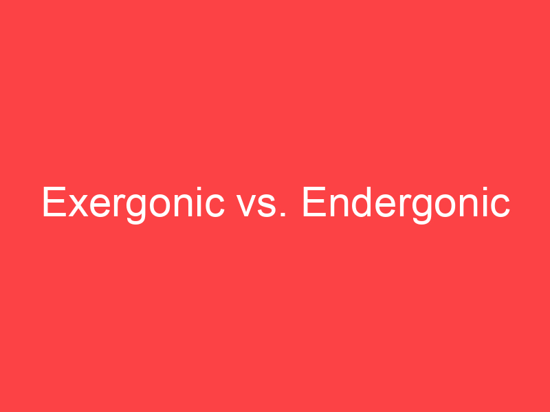 Endergonic Vs Exergonic
