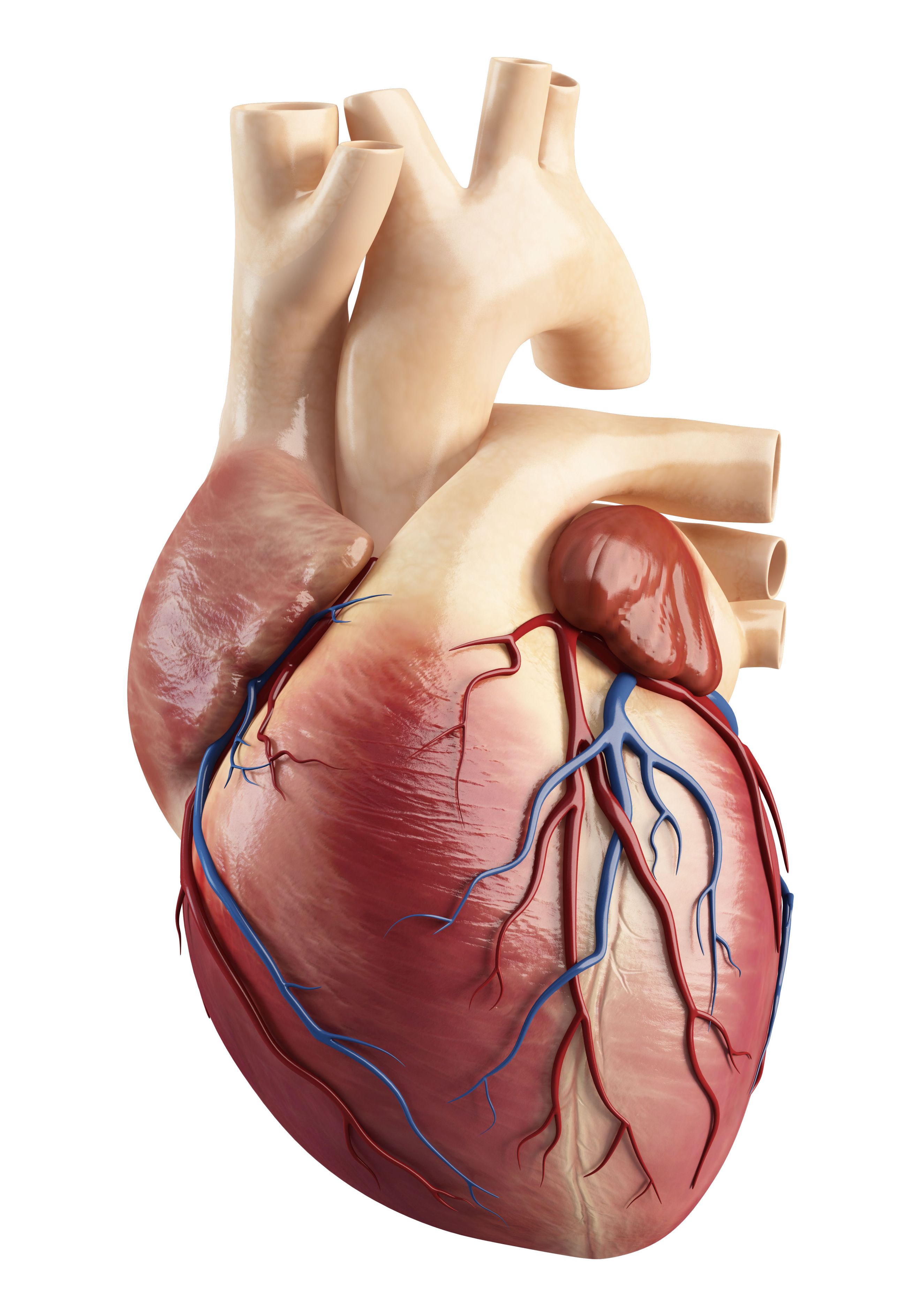 Engañosos Es El Corazon Engañosos Es El Corazon