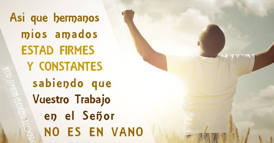 Estad Firmes Y Constantes