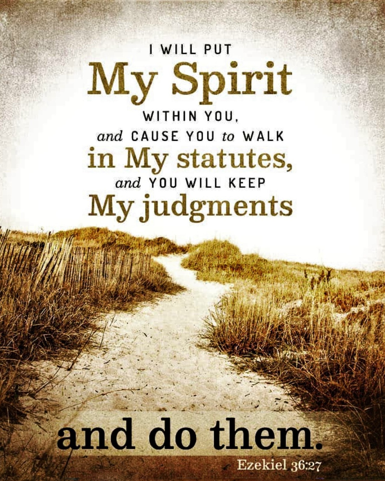 Ezekiel 3 Nkjv Ezekiel 3 Nkjv