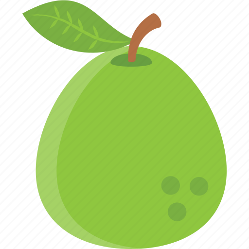 Fermented Pear Juice Fermented Pear Juice
