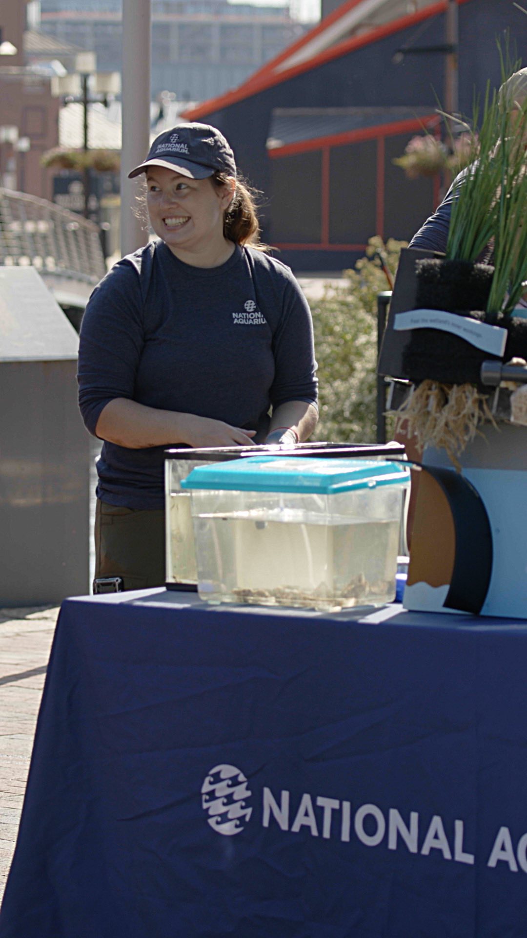 Fish Ear Guide: Understanding Aquatic Hearing