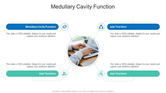Function Of The Medullary Cavity