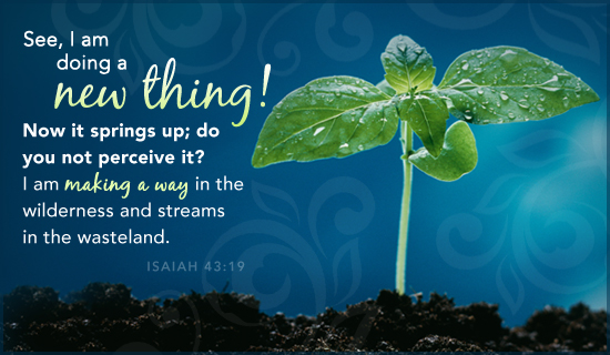 God Is Doing Something New