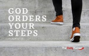 God Orders Our Steps Scripture