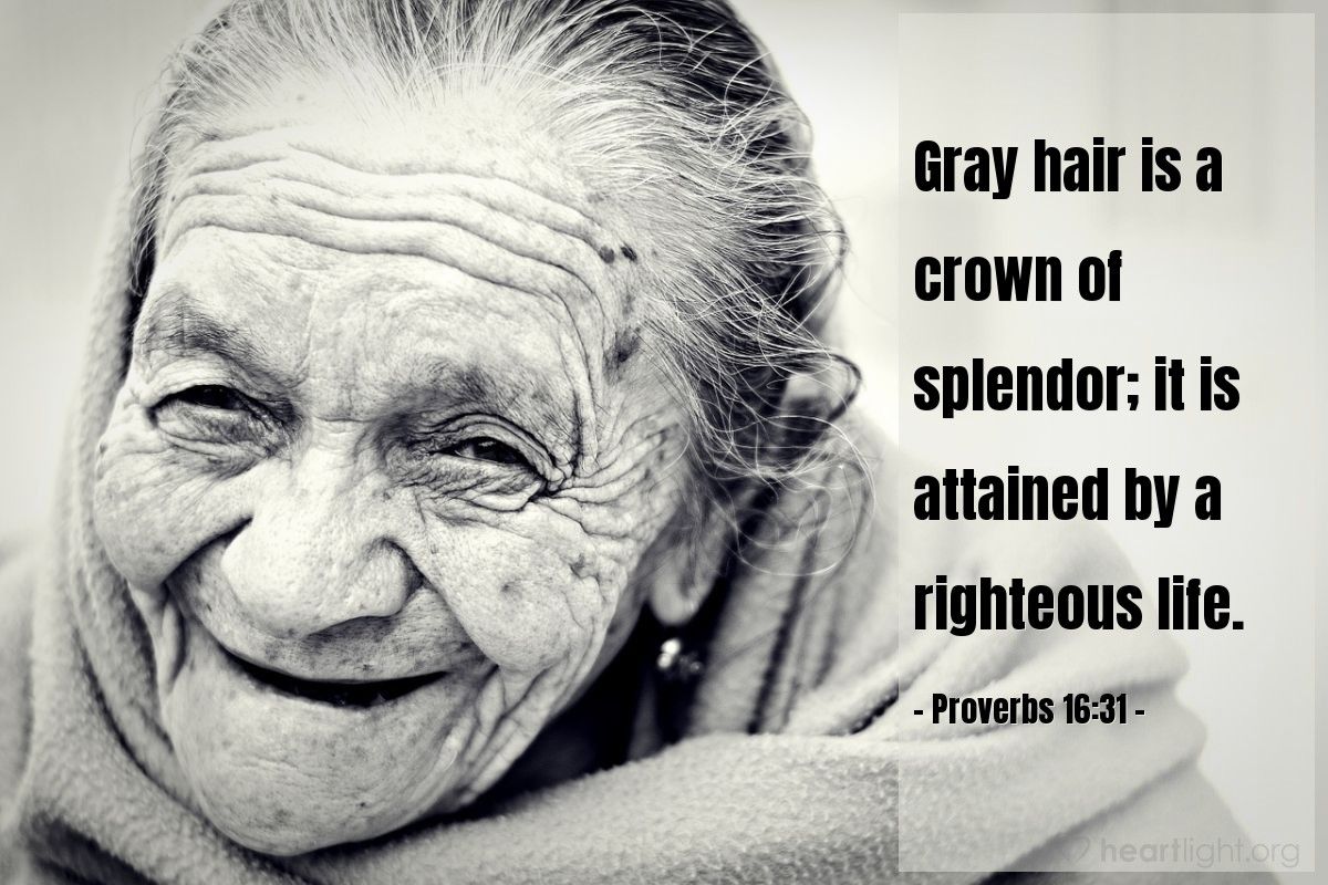 Grey Hair In Bible