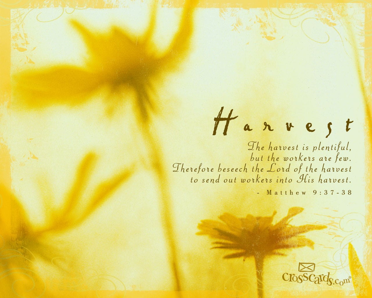 Harvest Scripture Verses