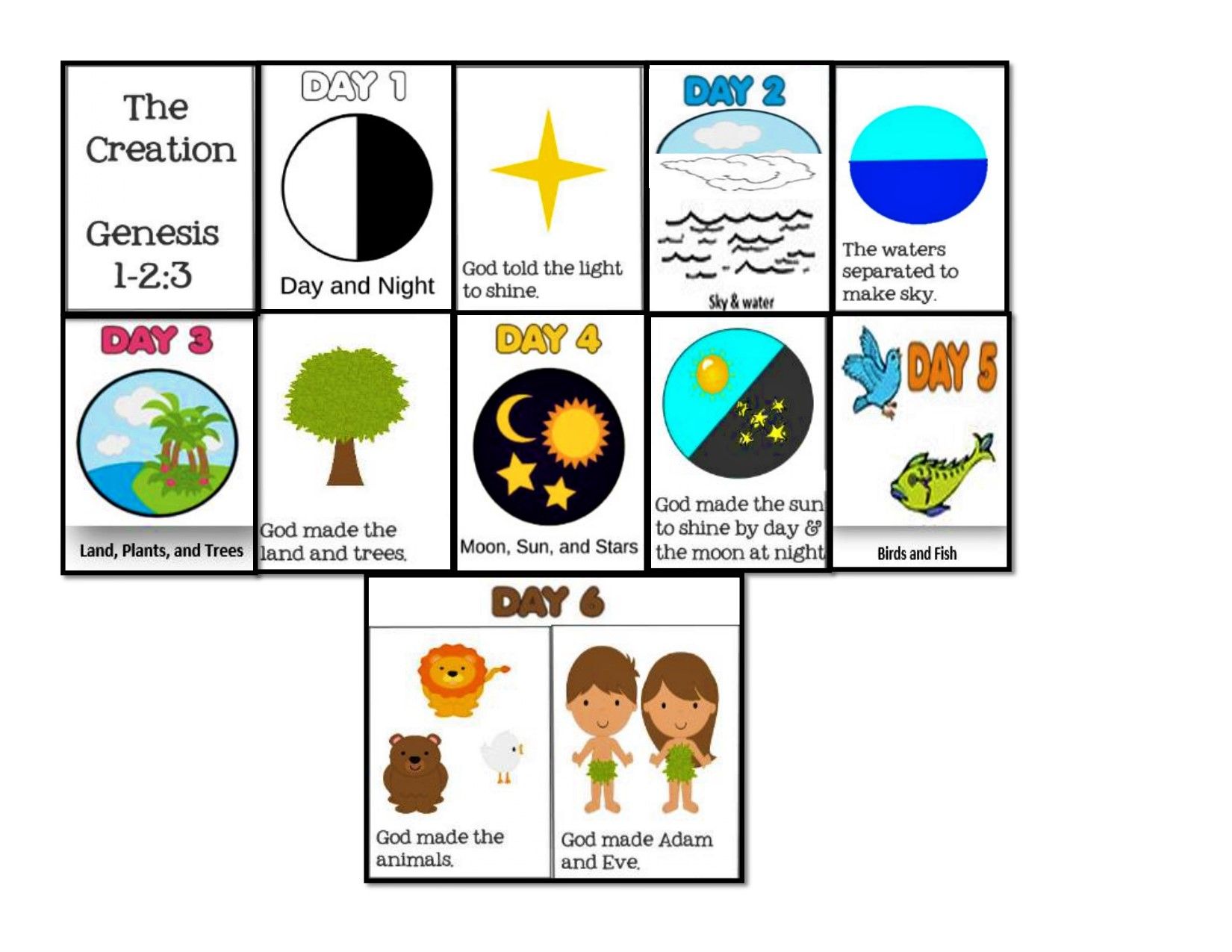 How Did God Make Animals? Divine Creation Explained
