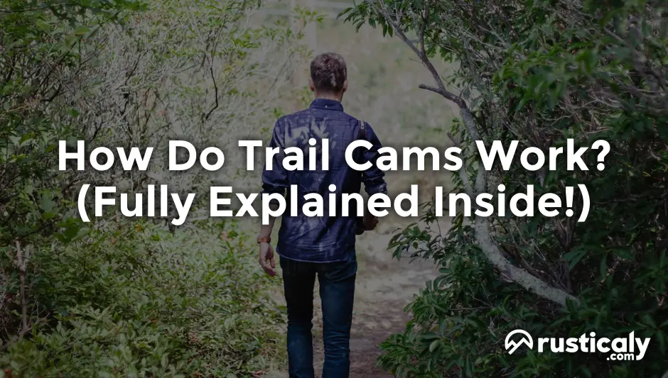 How Do Amateur Porn Cams Work? Secure Options How Do Amateur Porn Cams Work? Secure Options