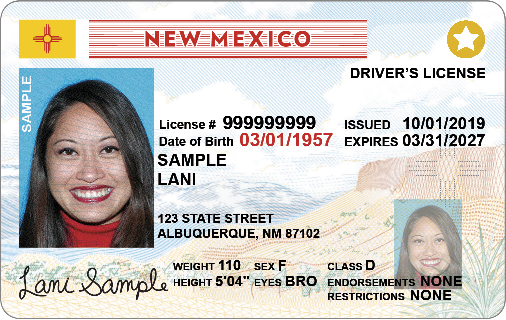 How Do I Replace My Mvd Id? Easy Steps Inside