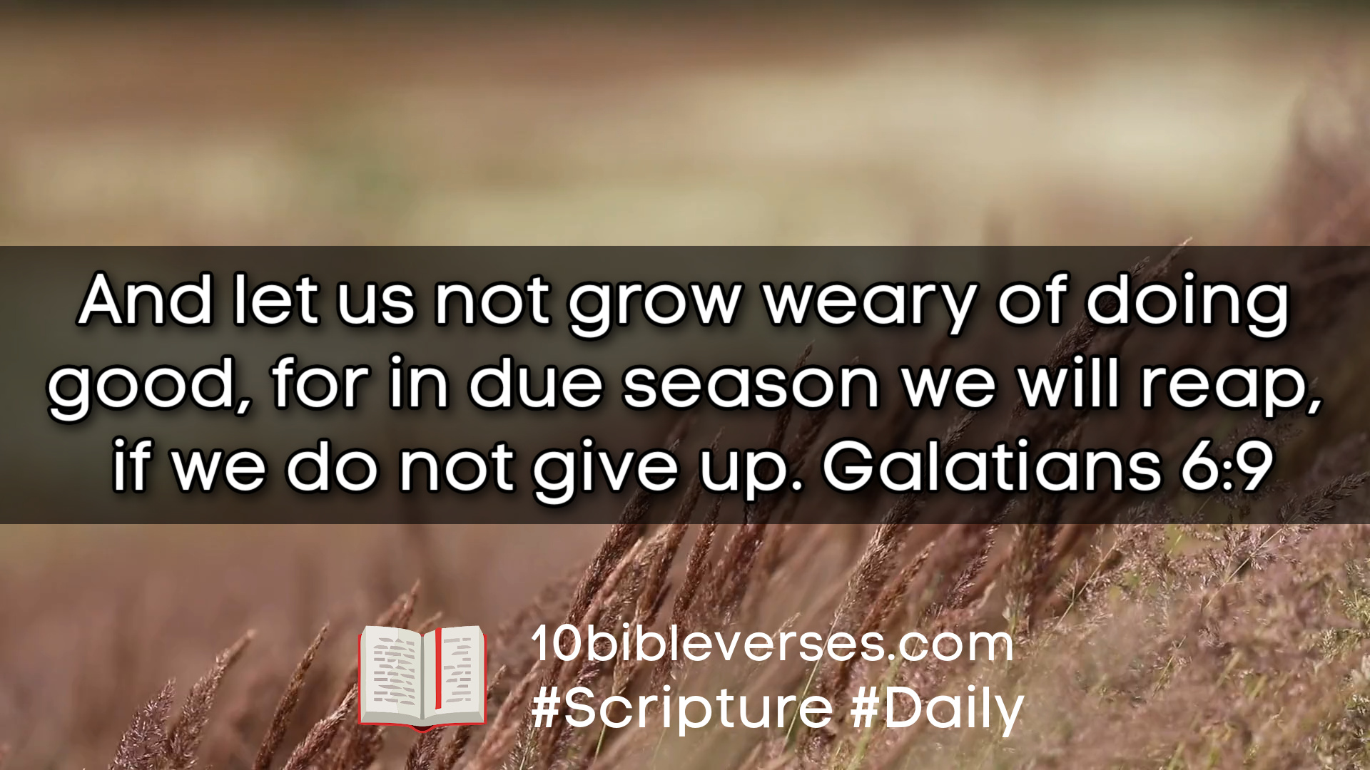 How Does Harvest Bible Inspire? Daily Quotes Inside How Does Harvest Bible Inspire? Daily Quotes Inside