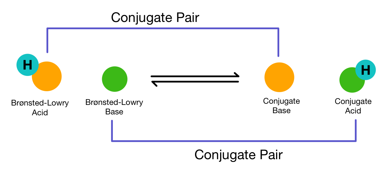 How Does So4 2 Form Conjugate Acid? Simple Guide