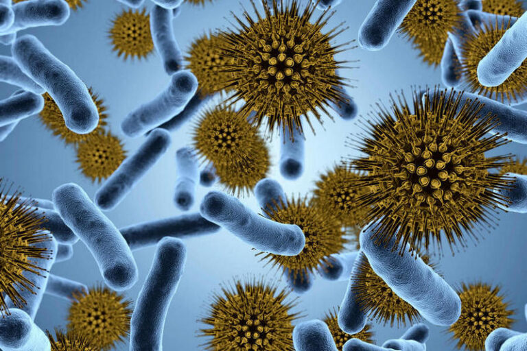 How Freezer Temperature Kills Germs? Expert Advice How Freezer Temperature Kills Germs? Expert Advice