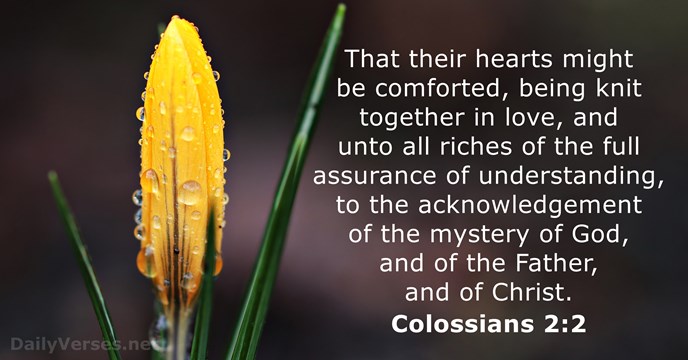 How Is Jesus Described In Colossians 1:1517 Kjv? Divine Truth