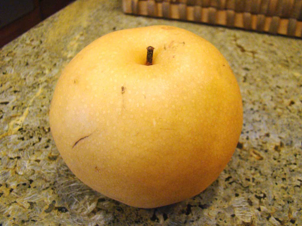How Ripe Are Asian Pears? Harvest Tips