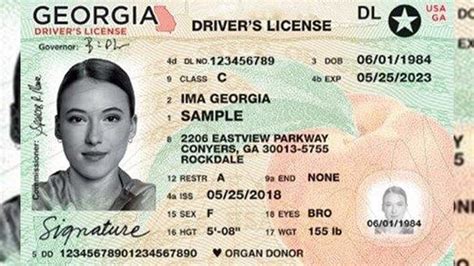 How To Check Georgia Driver's License Status Online
