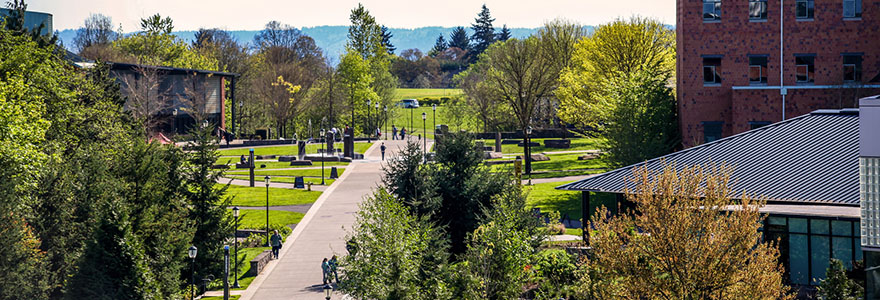 How To Get Hired At Wsu Vancouver? Job Search Tips