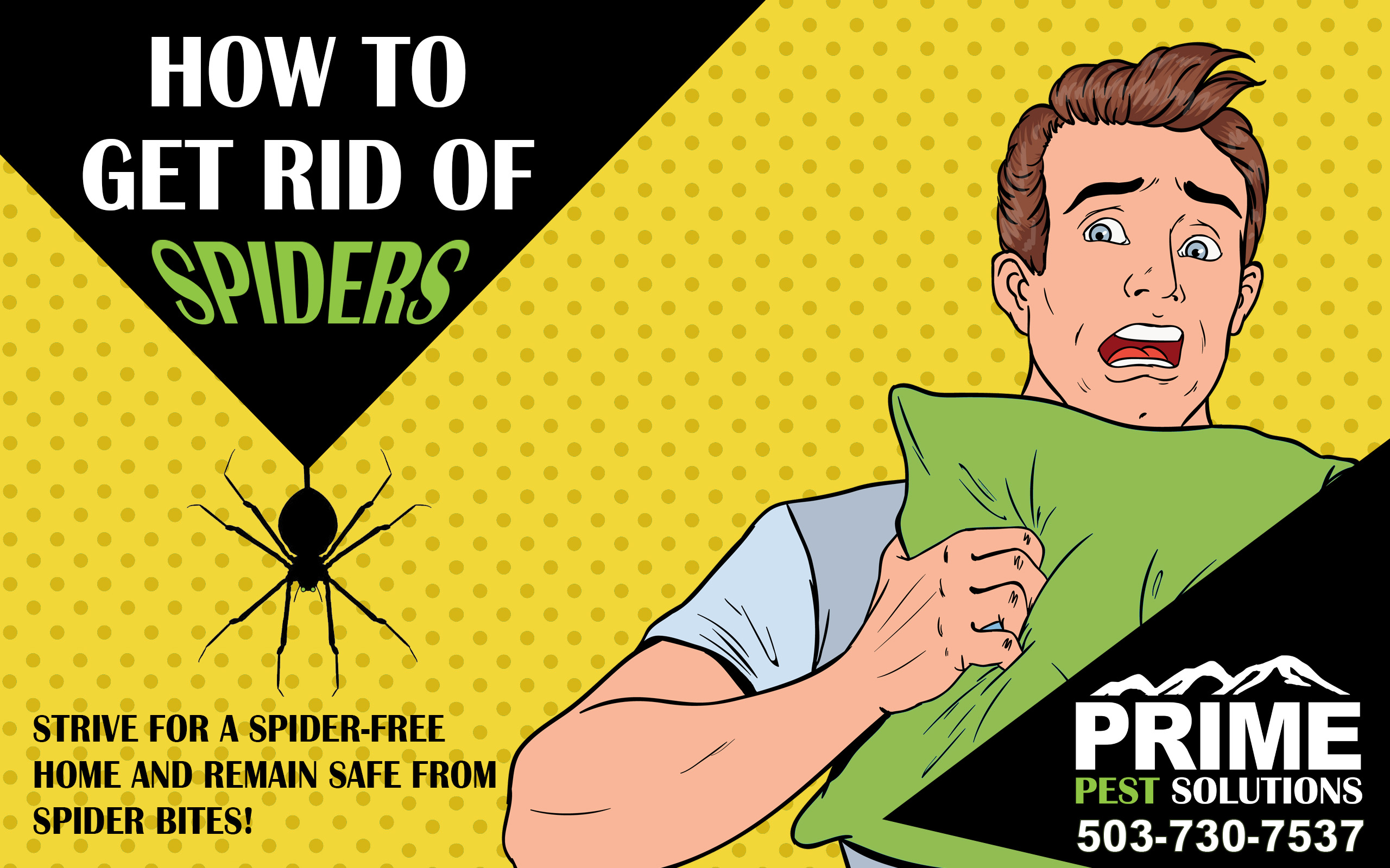 How To Get Rid Of Big Spiders In Wa? Effective Solutions
