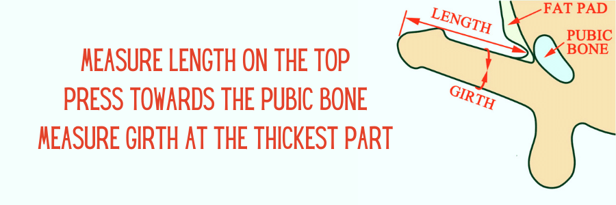 How To Measure Penile Length Correctly How To Measure Penis Size How To Measure Penile Length Correctly How To Measure Penis Size