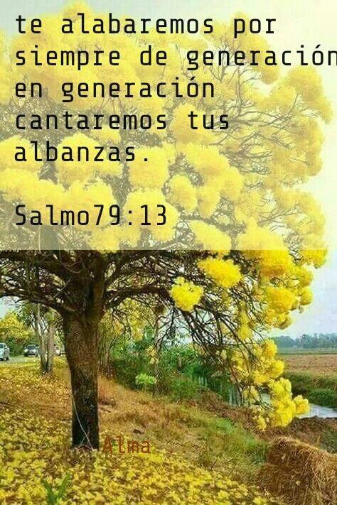 How To Overcome Tristeza? Powerful Salmos