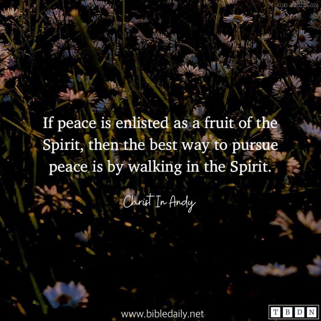 How To Pursue Peace With All Men? Daily Tips