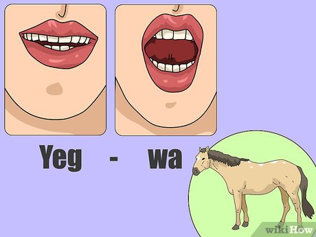 How To Say Horse In Greek? Easy Translation