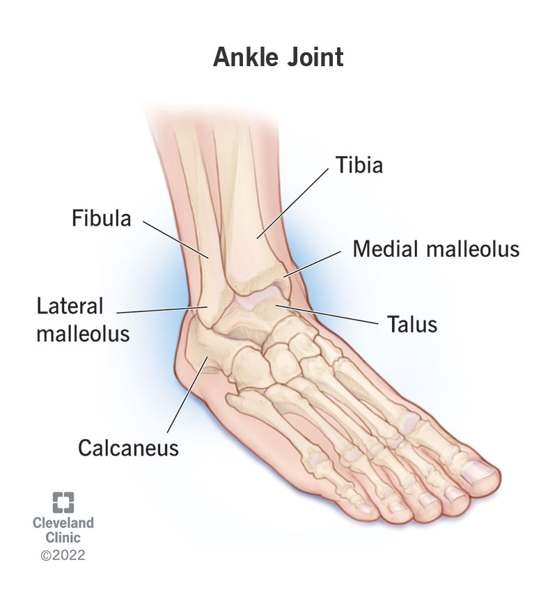 How To Treat Medial Ankle Bursitis? Get Answers How To Treat Medial Ankle Bursitis? Get Answers