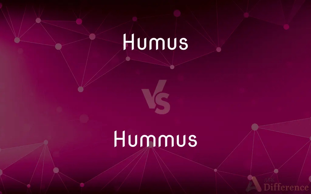 Hummus Vs Humus: Know The Difference