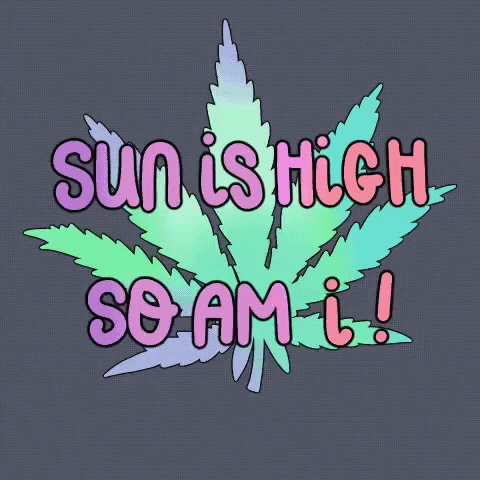 Indica Flower: Explore Vibrant Gifs