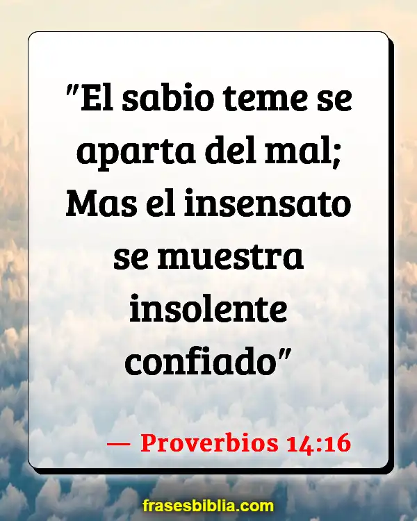 Insensatez En La Biblia