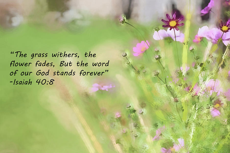 Inspirational Bible Verse Wild Flowers Photograph By John Prause