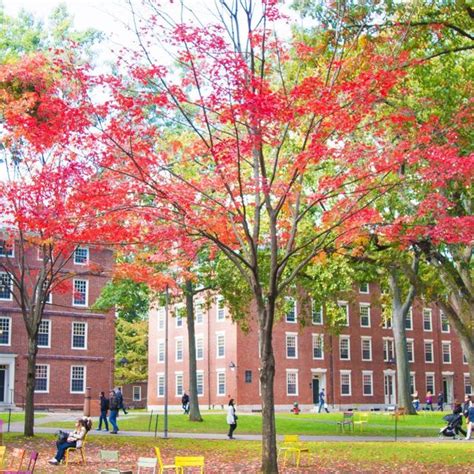 Ivy League Ct