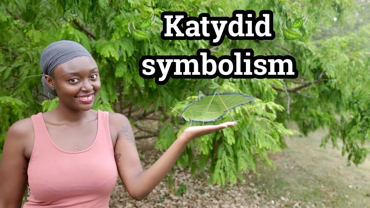 Katydid Biblical Meaning