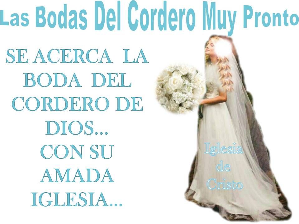 Las Bodas Del Cordero