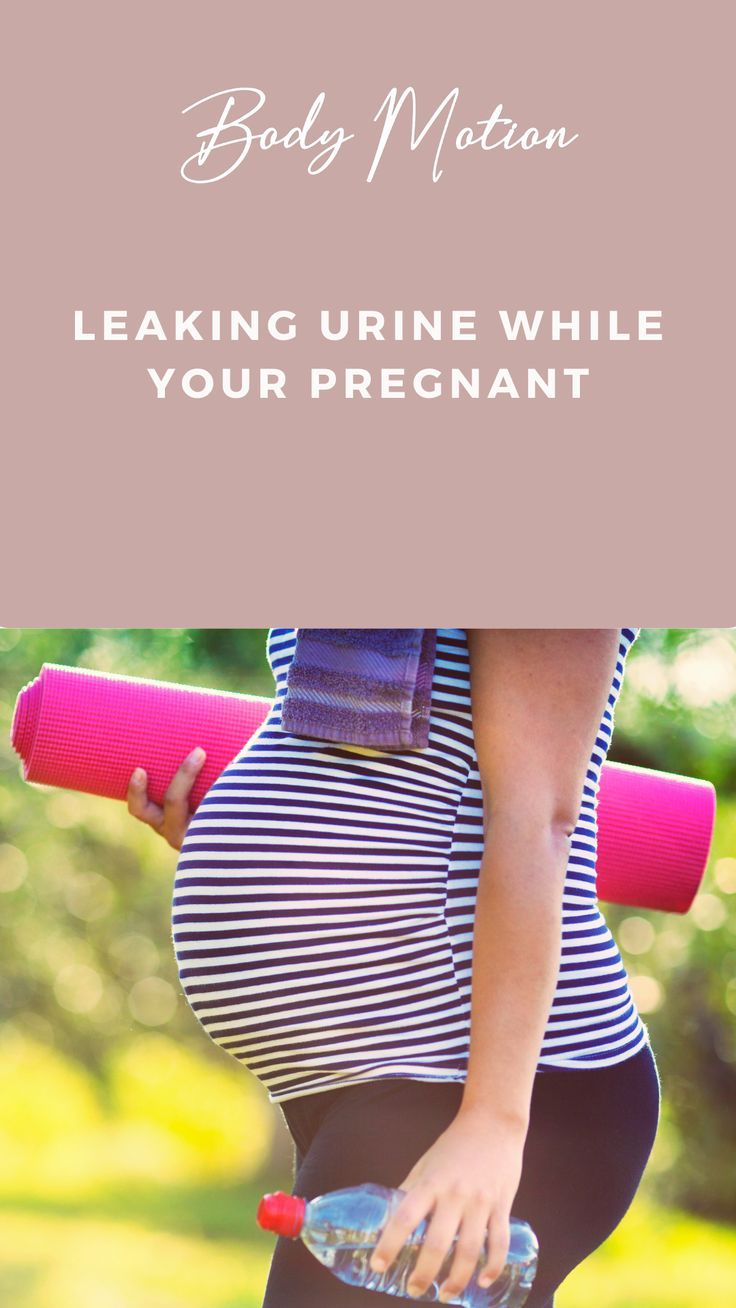 Leaking Urine Dogs: Reduce Accidents While Resting