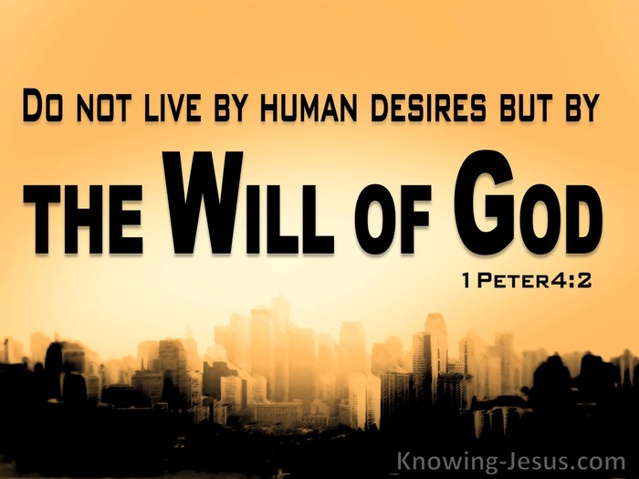 Licentiousness Bible Definition Licentiousness Bible Definition