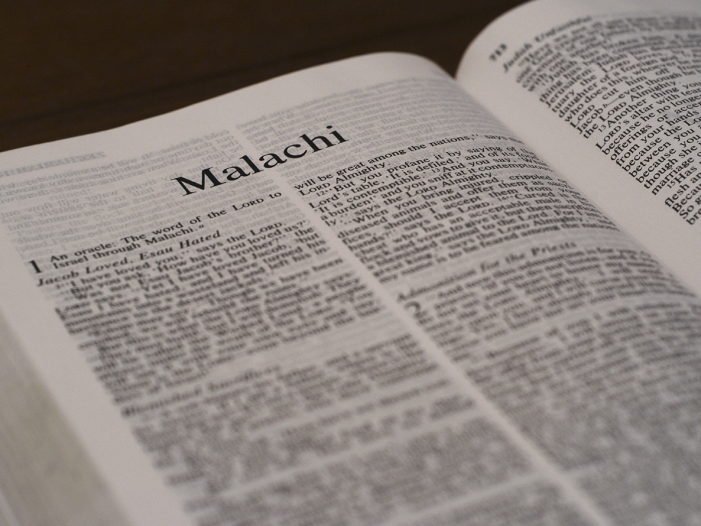 Malachi 1 1 14
