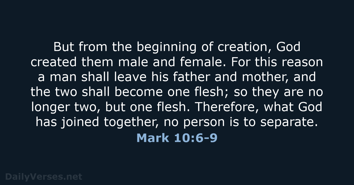 Mark 10 Nasb Commentary: Indepth Insights