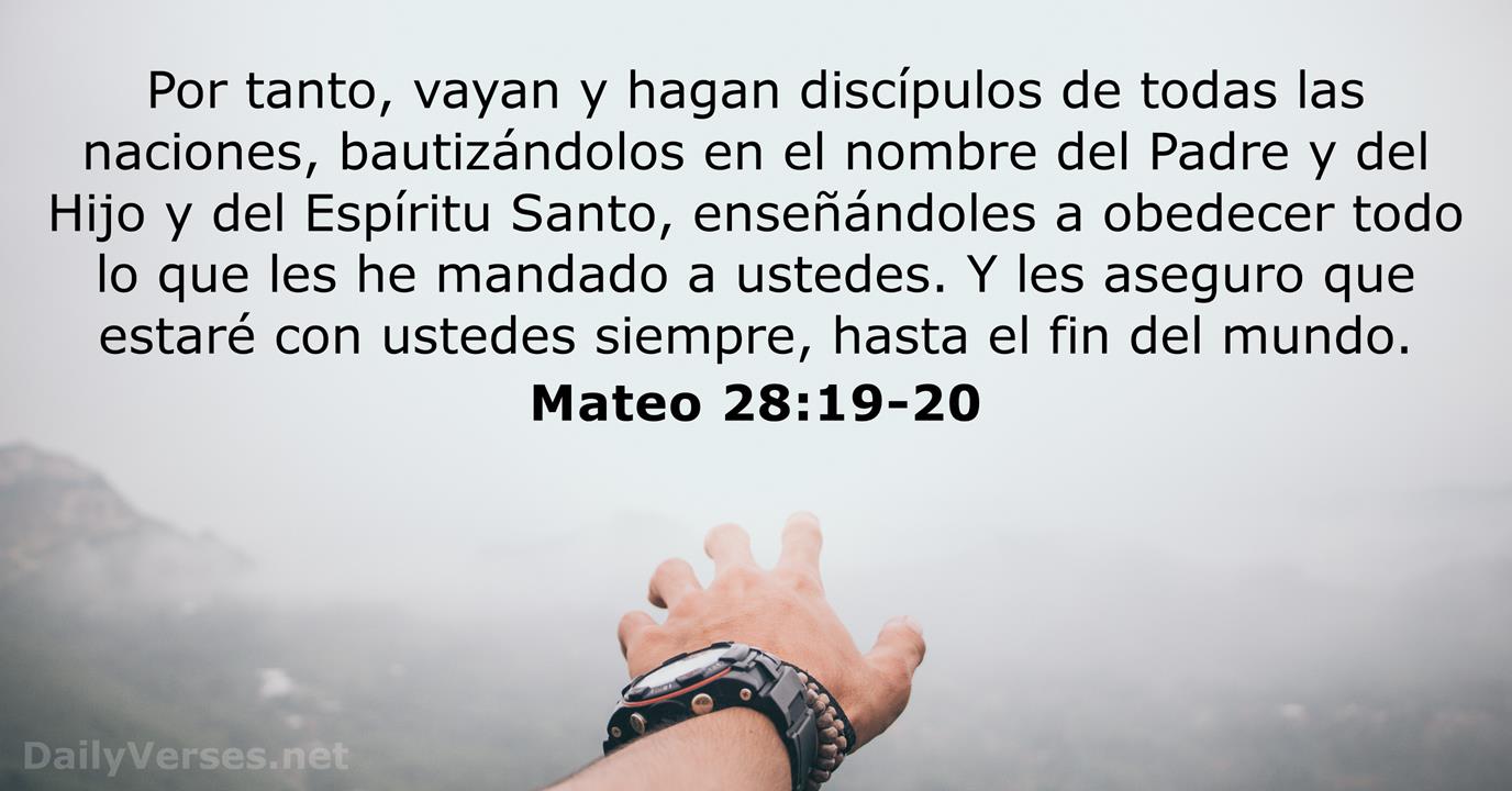 Mateo 2 1923 Biblia Catolica