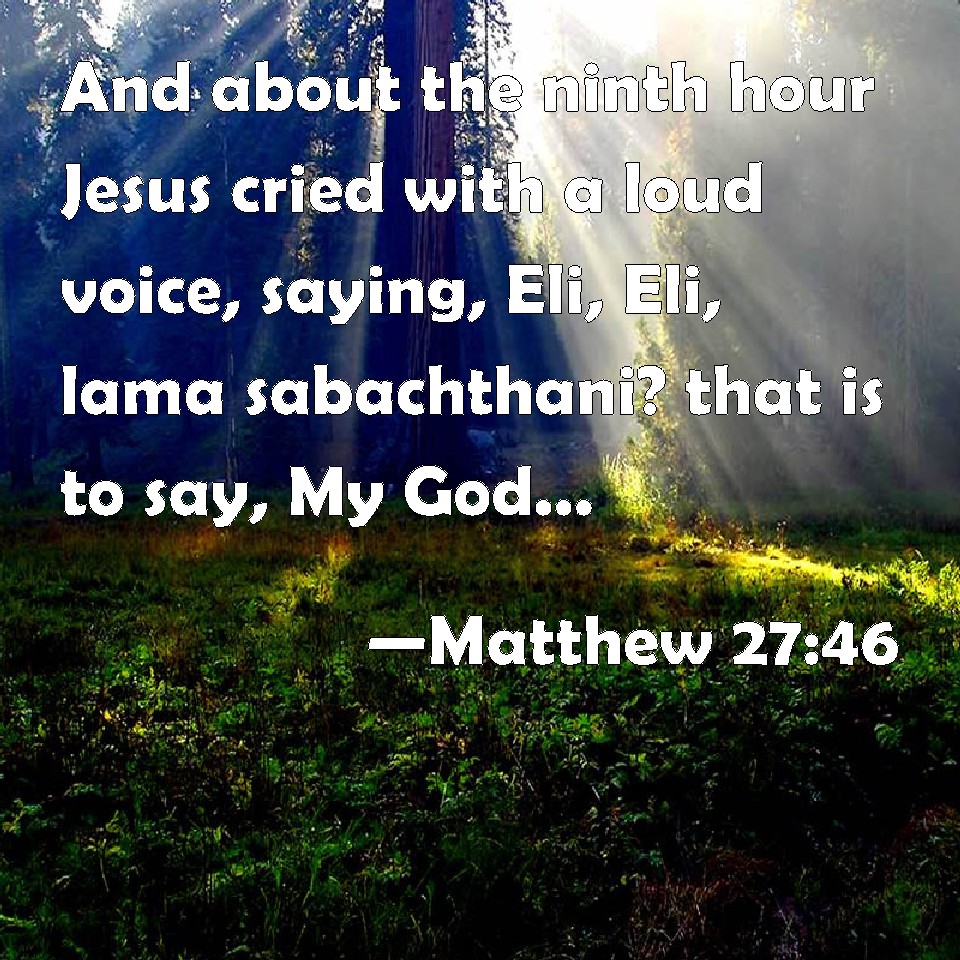 Matthew 27 46 Commentary