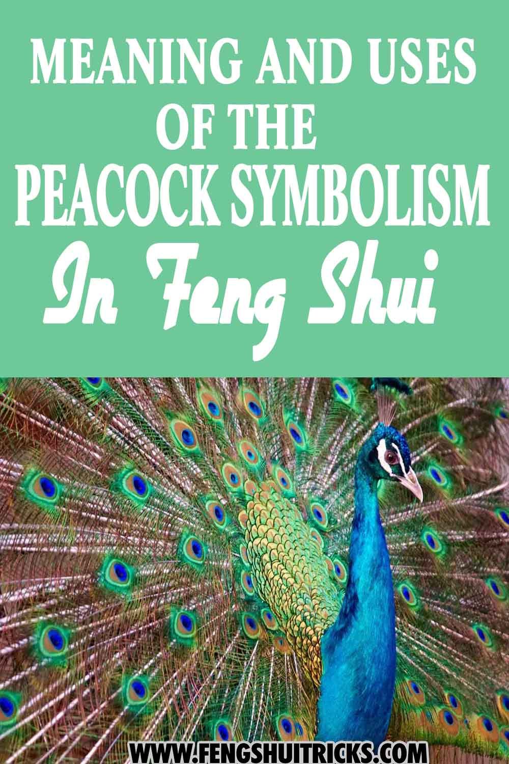 Meaning Of Peacock In Bible