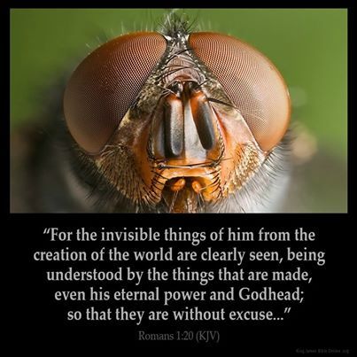 Men Are Without Excuse