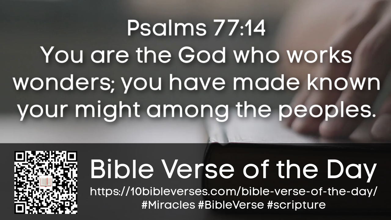 Miracle Bible Verse Miracle Bible Verse