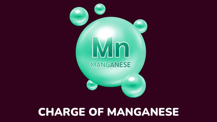Mn Ion Charge