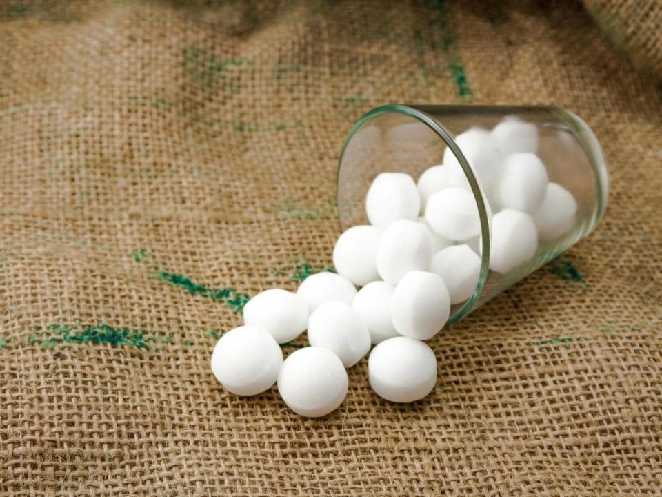 Moth Balls For Snakes