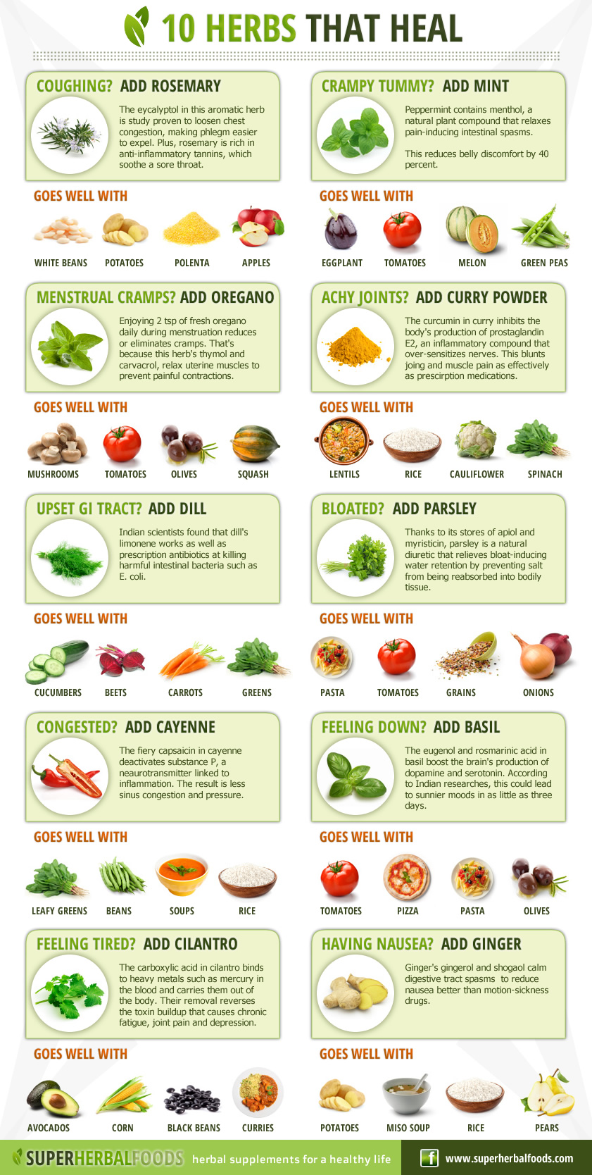 Need To Heal Your Gut Healing Herbs Are A Great Way To Get Beneficial Need To Heal Your Gut Healing Herbs Are A Great Way To Get Beneficial