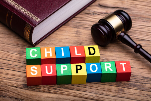 New 2025 Child Support Law